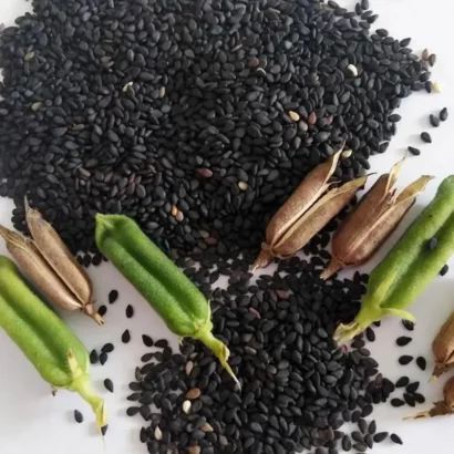 Graines_de_sesame_noirs_roties1