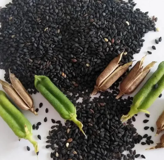 Graines de sésame noir rôties