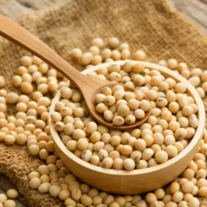 soja graines