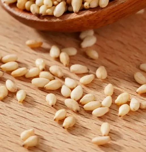 Graines sésame naturelles blanches