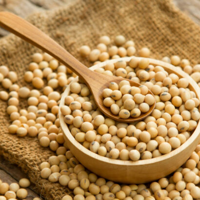 Whole grain soybeans in wooden bowl and spoon on linen sack, rustic and organic crop product concept.